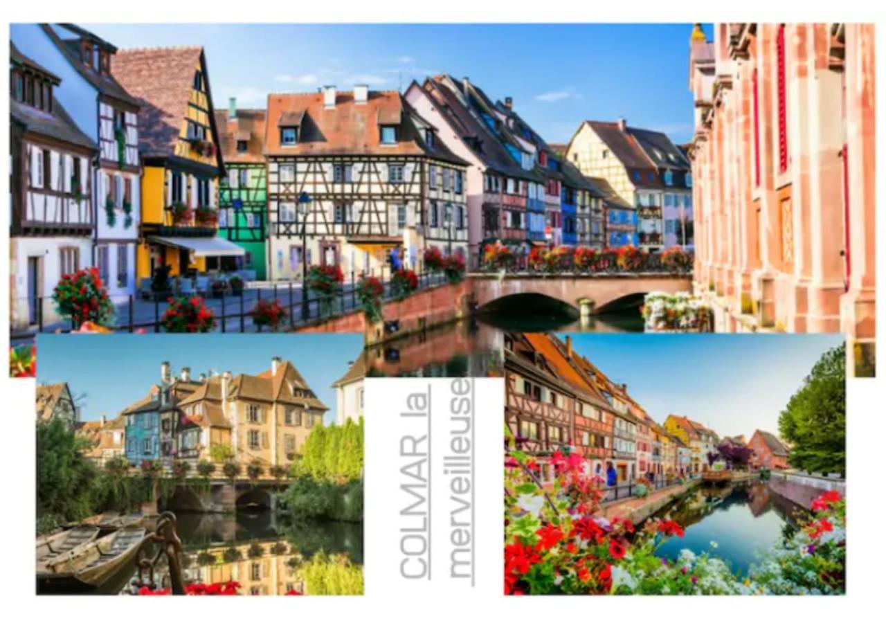 Peyerimhoff Colmar - 3 Chambres - 8 Pers - Clim エクステリア 写真