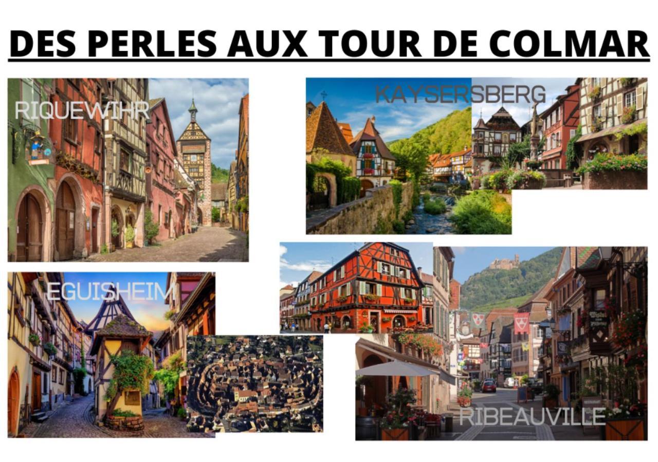 Peyerimhoff Colmar - 3 Chambres - 8 Pers - Clim エクステリア 写真